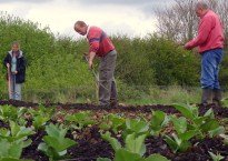 Courtesy Amanda Briggs / Camel CSA